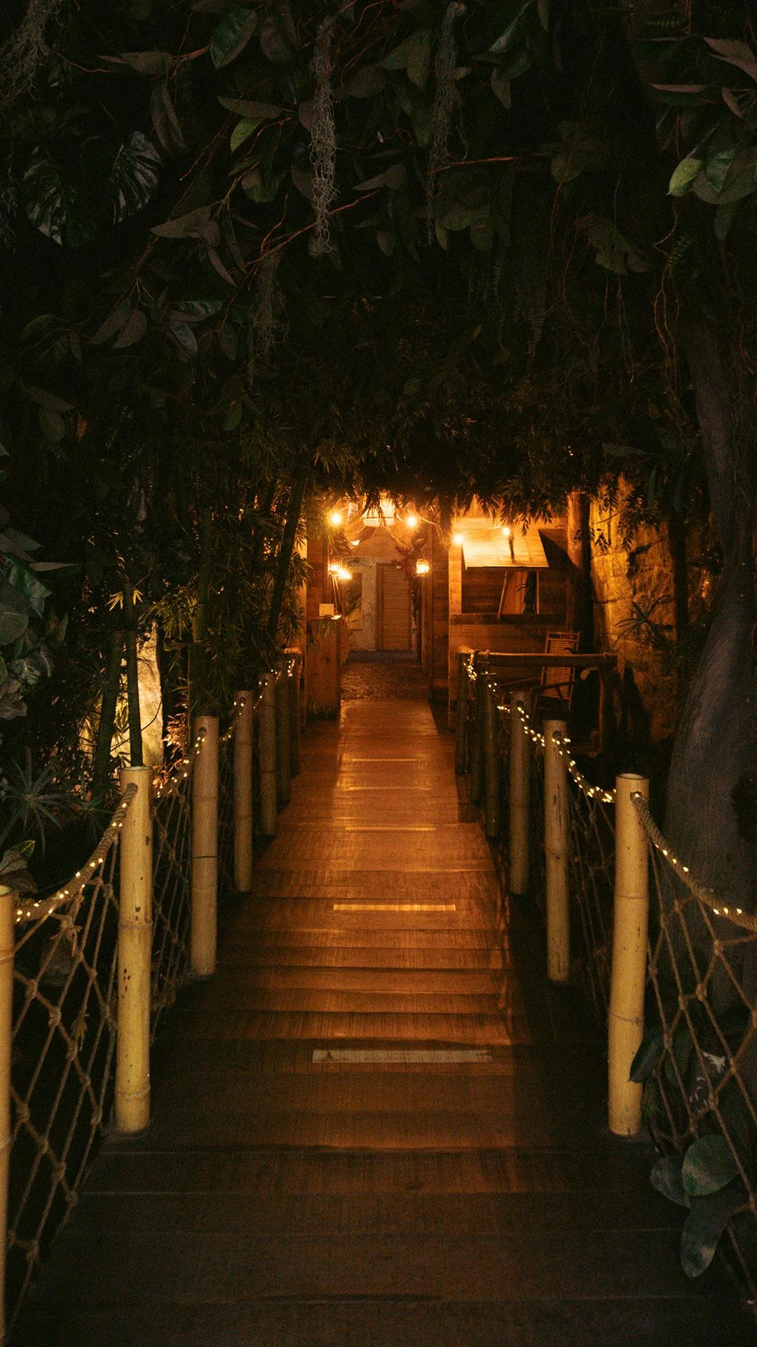 Adéntrate en La selva balinesa