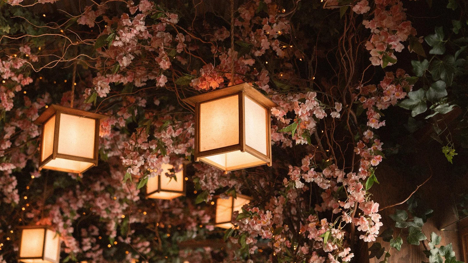 過去 - Año 1256 Viaja al Pasado