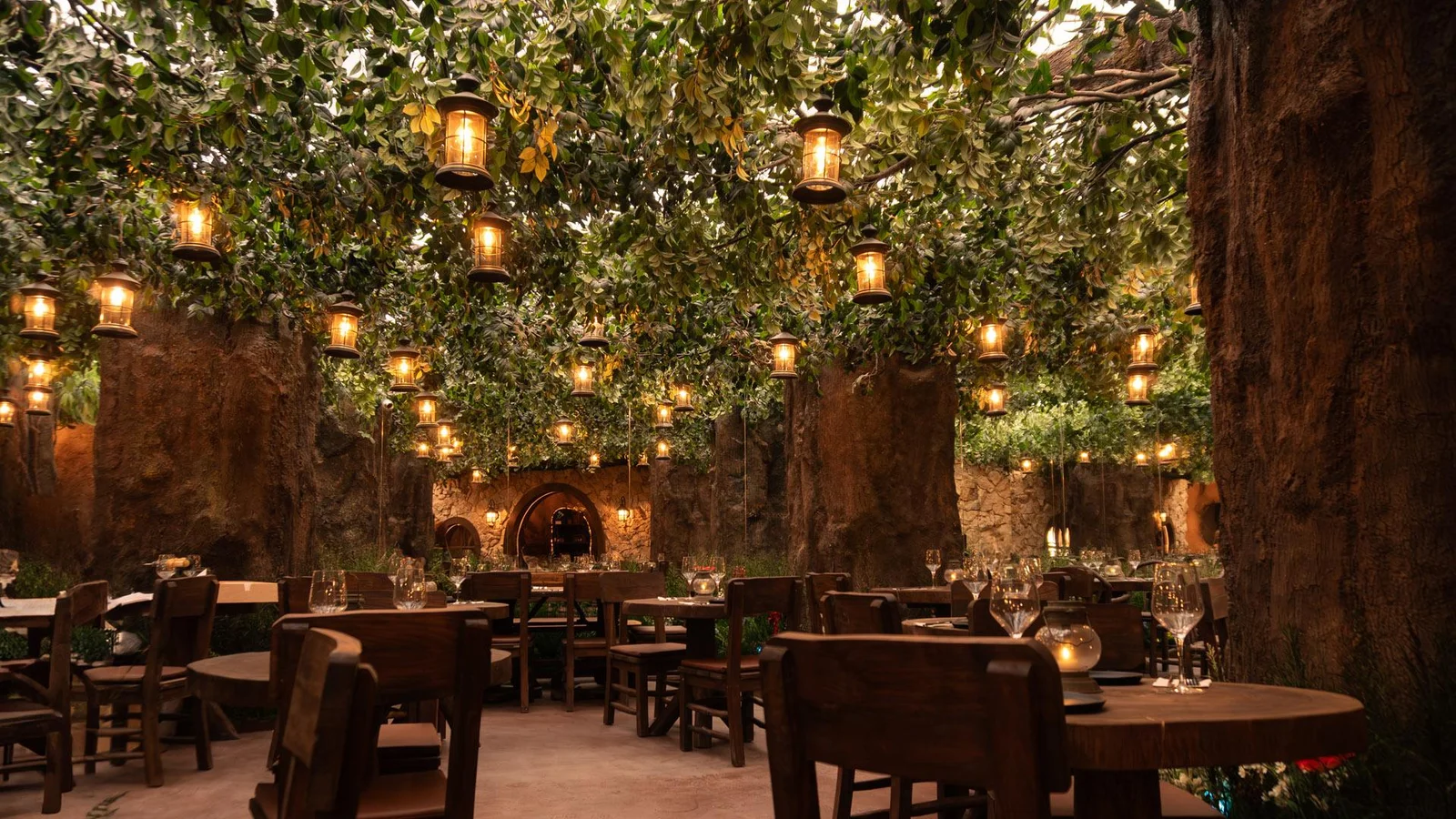 Bosque encantado. Un viaje mágico