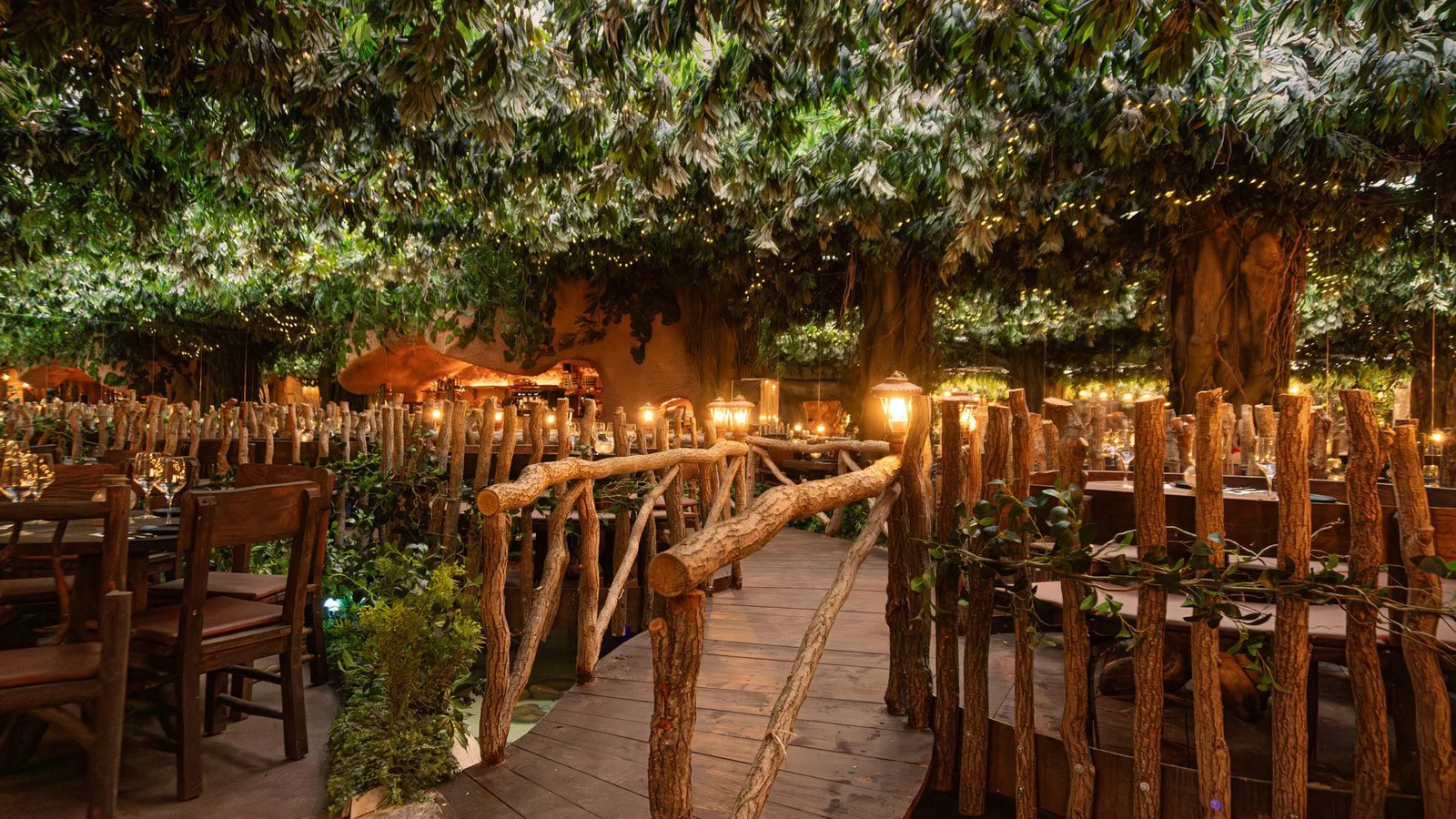 Bosque encantado. Un viaje mágico