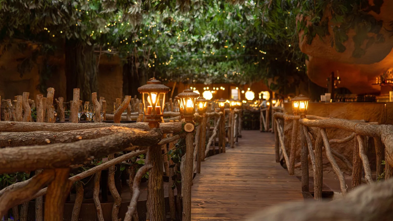 Bosque encantado. Un viaje mágico